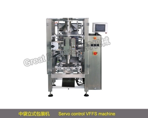 ShanghaiGP480 Dual servo VFFS Machine