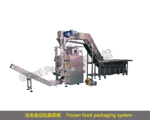 桦甸Frozen food packaging system