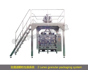 永康Automatic double row particle metering and packaging system